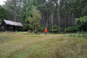 The trail emerges from the bush approaching the site of The Big Bridge [2024]