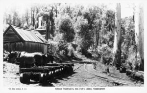 Log bogies and exhausted horses near the stables at Big Pats Creek