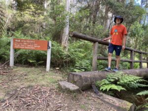 Emerging from the walk at the Big Pats Creek camping area [2024]