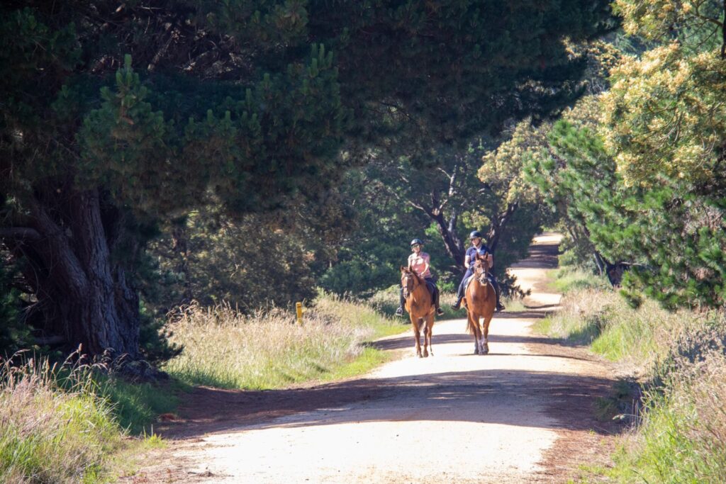 Gippsland Trail Link Progress