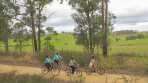Views of the valley near Mossiface [2013]
