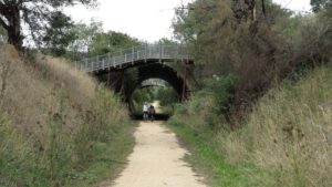 The classic pedestrian bridges still remain at Bruthen [2013]