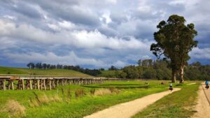 The Snowy River Trestle just before Orbost, which as of 2025 is being partially restored [Alex Thompson 2014]