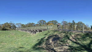 Longest bridge over the Latrobe River floodplain is redecked original [2025]