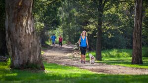 Billabong Reserve on diversion from corridor to Maffra [GPRT CoM 2014]