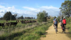 Interest from both sides of fence near Stratford [Dave Blundy 2012]