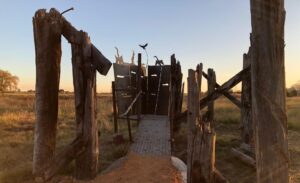 Bird hide on the Macalister River flats just before Maffra [Beth Ripper 2020]