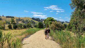 Walking between Nyora and Loch is pleasant at most times of year [2022]