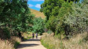 From Loch, trail follows the narrow Allsop Creek valley up towards Bena [2022]