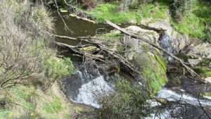 Just after Loch, Hilda Falls has a viewing platform but is often dry [2025]
