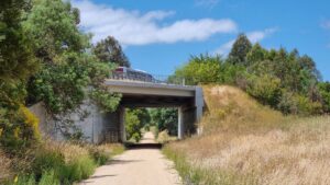 A Yarram-bound bus on the South Gippsland Hwy goes over the trail [2022]
