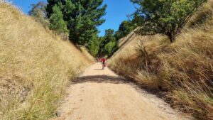 A huge cutting, no doubt dug by hand with horses to remove the spoil [2022]