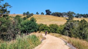 Summer scenery between Korumburra and Leongatha [2022]