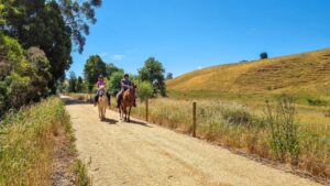 Horse riders at Ruby are a welcome sight. Stop and give way to them [2022]