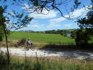 Typical scenery on the climb between Fish Creek and Hoddle Summit [2014]