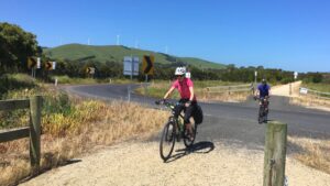 Wind turbines were a feature near Toora a decade ago. Now they're everywhere [2016]