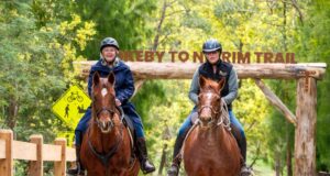 Horse riders approach the trail hub at Rokeby [Baw Bay Shire, 2025]