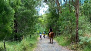 Mustering dad and the kids in the Crossover Regional Park [2023]