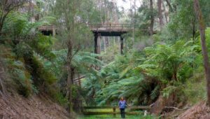 Efforts to secure funding for the trestle bridge have been unsuccessful [2018]