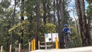 Exiting the cutting near Crossover Trestle onto Bridge Rd [2025]