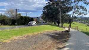 Widened trail near Neerim Bower sculpture approaching town [2025]