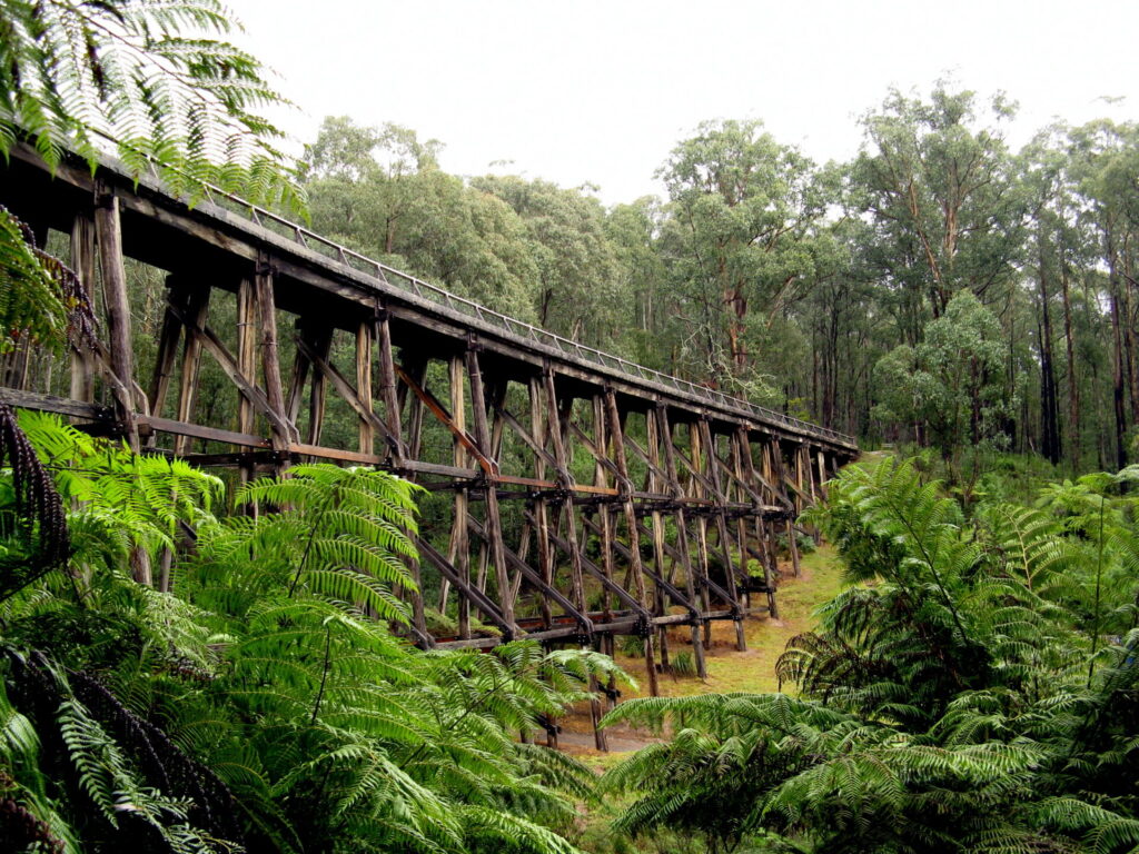 Noojee Trestle Bridge Rail Trail