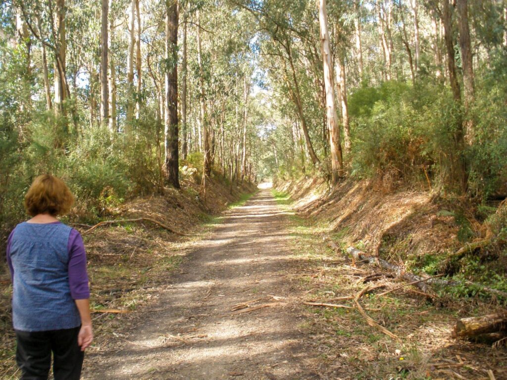 Baw Baw Forges Ahead