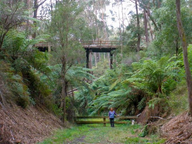 Rokeby Crossover Twilight Fun Run