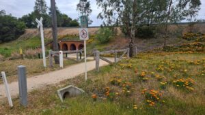Detour under Bendigo-Echuca Line [2025]