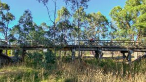 The only original timber bridge, still doing sterling work over Grassy Flat Creek in East Bendigo [2025]