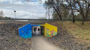 The McIvor Hwy underpass in Axedale after murals were added [2024]