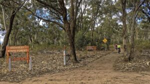 The rail trail enters the state forest at Knowsley [Andrew Lecky, 2019])