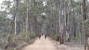 Typical native forest setting approaching Heathcote [2015]