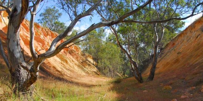 Wallan to Heathcote Rail Trail Feasibility Study Begins