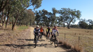 Riding between Wang and Oxley, where the trail diverts to Milawa [2011]