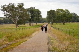 Walkers stride between Everton and Myrtleford [Helen Newman, 2021]