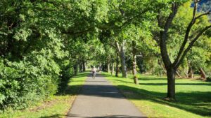 The leafy approach to Bright is pleasant in summer and colourful in autumn and spring [2025]