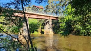 The viewing platform on the Ovens River just before Bright is a great place to take in nature [2025]