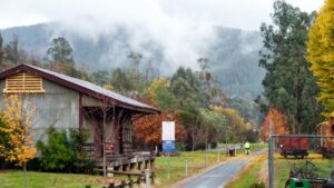 Picture-perfect goods shed, like an autumn scene from Oregon [2013]