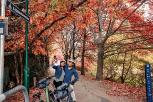 Capturing a colourful departure from Beechworth's gardens [TNE 2024]