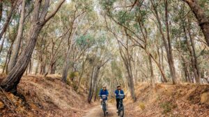 Cruising down to Wooragee on the way to Yackandandah [TNE, 2024]