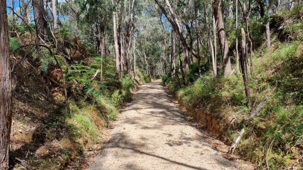 Yackandandah Rail Trail parkrun