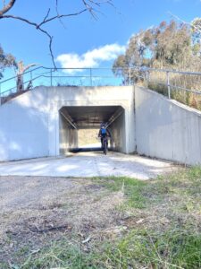 The Yackandandah Rd roundabout underpass has gentle grades [2025]