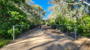 Another of the bridges on Gateway Island across the flood plains to the Murray River [2025]