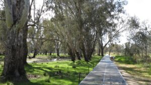 The boardwalks across the Kiewa River floodplain get a break in summer [2015]