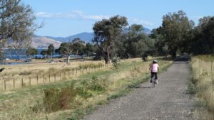 Summer on Lake Hume at Ludlows Reserve picnic area [2013]