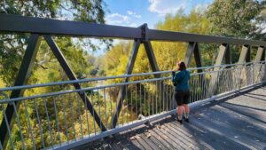 Enjoying the new Tallangatta Creek Bridge at Bullioh [2025]