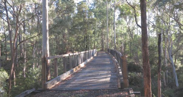 High Country Rail Trail Koetong Bridge Opening