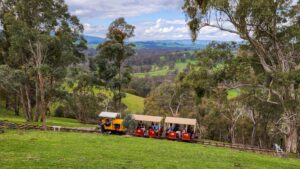 View from the Kerrisdale Mountain Railway with the rail trail in the background [2022]