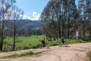 Typical scenery around Trawool with wind turbines in the background [2022]